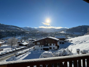 CHALET LE REPAIRE PROCHE PISTE